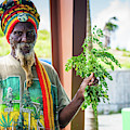 Rastafarian